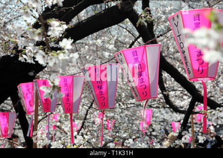 Tokyo, Japan. 27th Mar, 2019. Pink lanterns hanging along the Meguro River in Tokyo, Japan are a strong counterpoint to the white of the cherry blossom flowers. Viewing the cherry blossom, or Sakura, has become something of a national past-time for the Japanese, and is a huge draw for tourists. Lasting only about two weeks, it ensures that the most popular viewing areas are always packed. Credit: Paul Brown/Alamy Live News Stock Photo