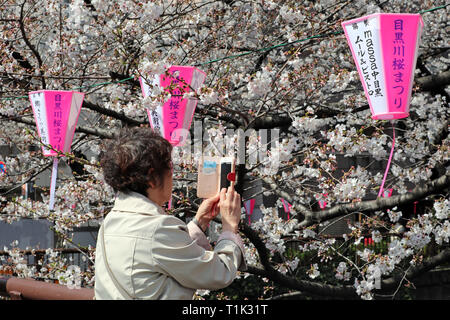 Tokyo, Japan. 27th Mar, 2019. A woman takes a photo of the cherry blossom and pink lanterns hanging along the Meguro River in Tokyo, Japan. Viewing the cherry blossom, or Sakura, has become something of a national past-time for the Japanese, and is a huge draw for tourists. Lasting only about two weeks, it ensures that the most popular viewing areas are always packed. Credit: Paul Brown/Alamy Live News Stock Photo