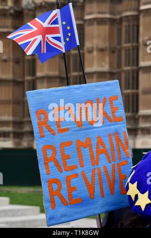 London, UK. 27th March, 2019. Remainer Placard. Anti Brexit Protests in Westminster, Houses of Parliament, Westminster, London. UK Credit: michael melia/Alamy Live News Stock Photo