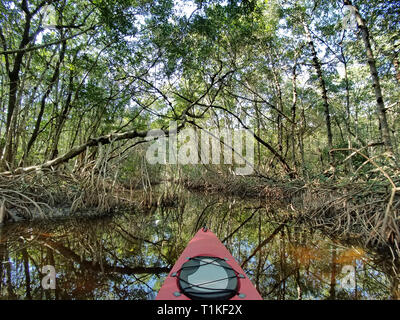 Red kayak in a mangrove tunnel between Coot Bay Pond and Coot Bay in Everglades National Park, Florida. Stock Photo