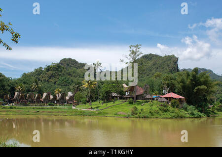 Tongkonan houses, traditional Torajan buildings, Tana Toraja is the traditional ancestral house of the Torajan people, in South Sulawesi,Indonesia. Stock Photo