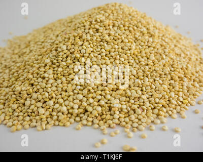 Mountain of Quinoa Seeds, white background of Quinoa seeds. Quinoa seeds from Bolivia and Peru. Stock Photo