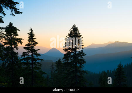 Panoramic view of Mount Rainier National Park, Washington State, USA Stock Photo