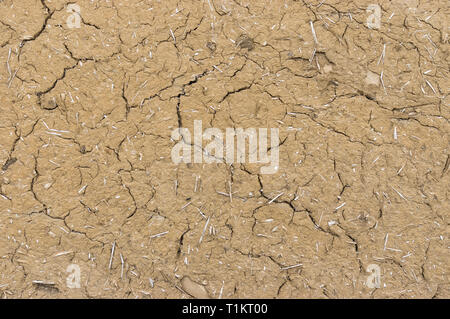 Cracked wall of ancient wattle and daub house in Ukraine Stock Photo