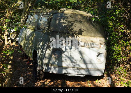 An old VW Volkswagen campervan / camper van in overgrown garden woodland. The campervan is neglected and in very poor condition. It might be a suitable candidate for restoration with a lot of hard work. UK (106) Stock Photo