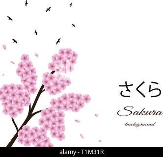 Sakura background with floral tree branch, birds. Stock Vector
