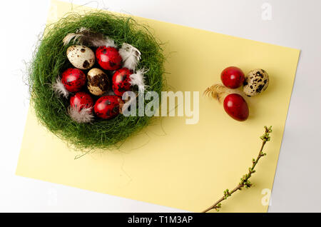 Quail red easter eggs in a green nest on a pastel yellow background. Copy space. Top view. Holidays concept Stock Photo
