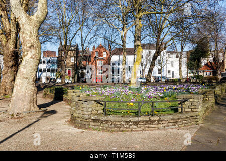 Spring bulbs blooming in Pond Square, Highgate, London, UK. Plants are flowering a month earlier in the UK as the climate heats up, a study has found. Stock Photo