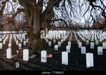 Cypress Hills National Cemetery in Brooklyn New York City Stock Photo