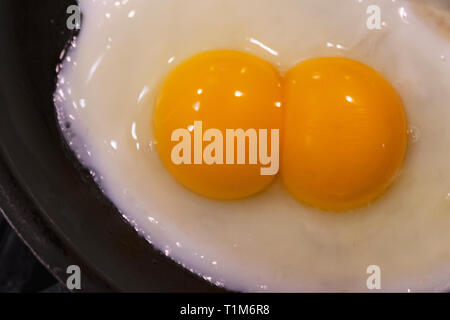 Double or twin egg yolk Stock Photo