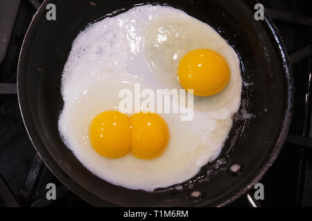 Double or twin egg yolk Stock Photo