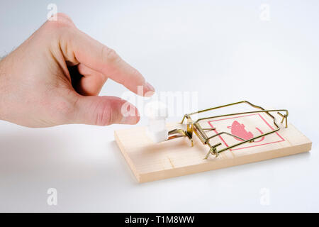 Finger reaching for sugar cubes on mousetrap Stock Photo