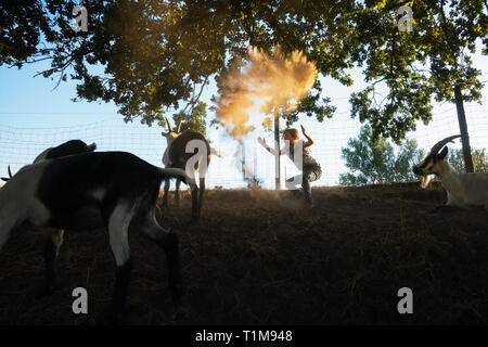 Girl playing with goats on rural farm Stock Photo