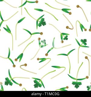 Microgreens Cilantro. Sprouting seeds of a plant. Seamless pattern. Isolated on white. Vitamin supplement, vegan food Stock Vector