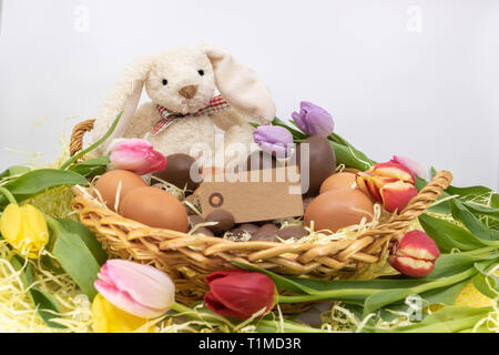 Easter bunny in a nest with tulips and easter eggs and text box Stock Photo