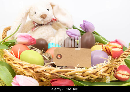 Cute Easter Bunny in its distribution of chocolate eggs and tulips announcing Spring and Easter Stock Photo