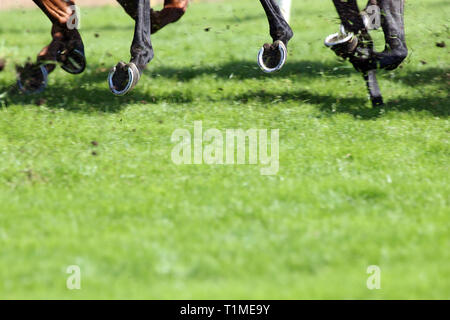 21.05.2018, Hannover, Lower Saxony, Germany - horse's hooves shoeing at a gallop on grass. 00S180521D460CAROEX.JPG [MODEL RELEASE: NOT APPLICABLE, PRO Stock Photo