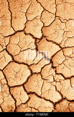 very dry terrain with cracks, global warming and drought concept Stock Photo