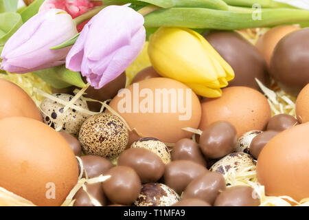 Close-up of Easter basket with various chicken, quail and chocolate eggs and tulips Stock Photo