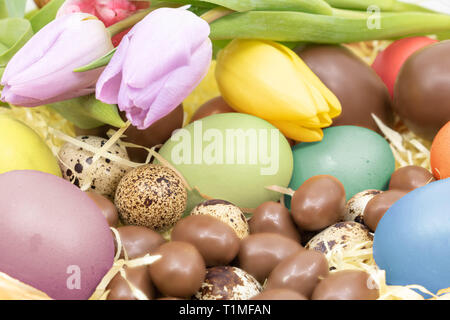 Colored chicken eggs, quail eggs and chocolate eggs for an Easter basket during an egg hunt Stock Photo