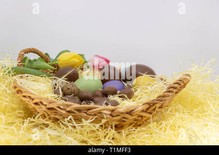 Painted chicken eggs, quail eggs and tulips for Easter and spring arrival Stock Photo