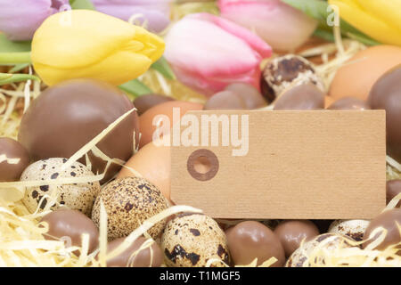Blank label for text surrounded by chocolate eggs, chicken eggs and quail eggs and tulips Stock Photo