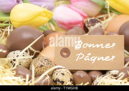 Different eggs in chocolate, chicken and quail and pastel tulips surrounding the text Happy Easter (Bonnes pâques is Happy Easter written in French) Stock Photo