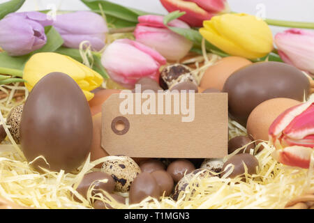 Blank label for your text surrounded by pastel tulips and chocolate eggs for Easter Stock Photo