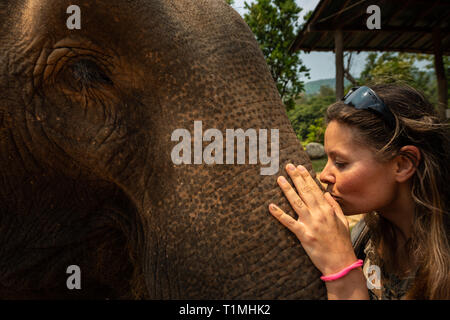 Kissing the elephant Girl Tourist kisses elephants trunk Close-up Stock Photo