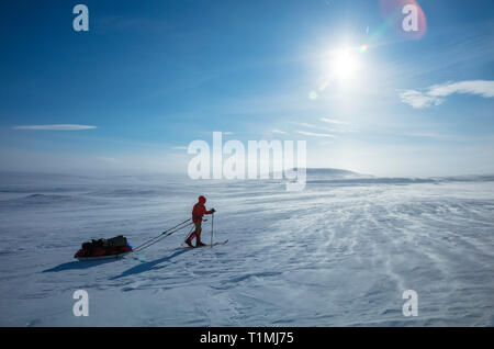 Cross country ski tourer crossing the Finnmarksvidda Plateau. Finnmark, Arctic Norway. Stock Photo