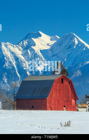 red barn below the mission mountains in winter near ronan, montana Stock Photo