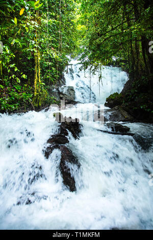Asia, Maluku islands, Seram, a waterfall on a tributary of the Salawai river in rainforest in Manusela National Park Stock Photo
