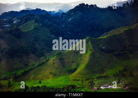 Bucolic scenery in the Cocora Valley near Salento, Colombia Stock Photo