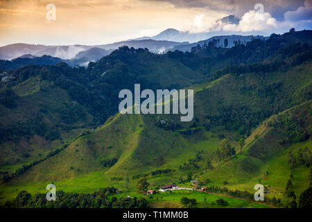 Bucolic scenery in the Cocora Valley near Salento, Colombia Stock Photo