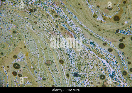 Abstract background made from paint. Close up Stock Photo