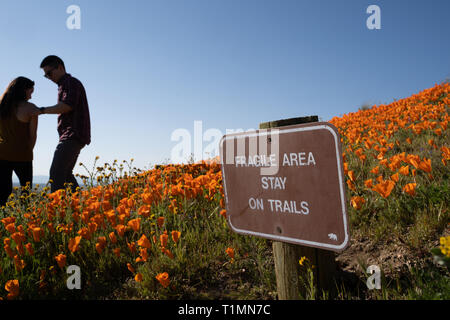 Lancaster, California - March 24, 2019: Sign warns tourists at the Antelope Valley Poppy Reserve to stay on the trail to preserve fragile wildflower a Stock Photo