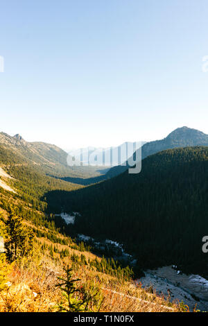 Scenic View from the Sheep Lake Trail in Mount Rainier National Park Stock Photo