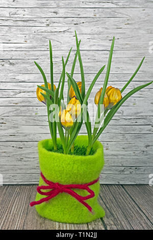 Spring yellow tulips on wooden background Stock Photo