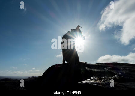 Rays of sunshine shining out from behind a large cloud, lining it with ...