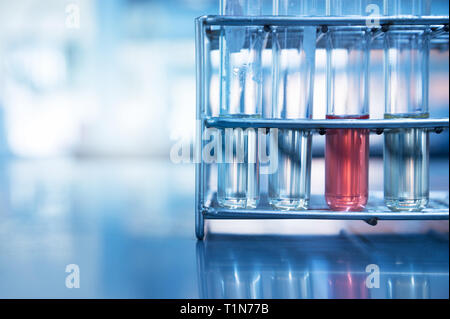 pink and clear water solution in test tubes of metal rack on chemistry laboratory table light blue education background Stock Photo