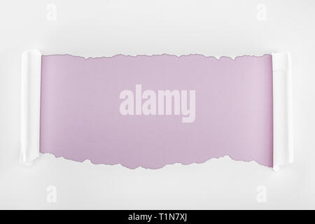 ragged textured white paper with curl edges on light purple background Stock Photo