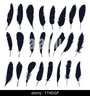 Set of isolated feather silhouette of bird.Plumage Stock Vector