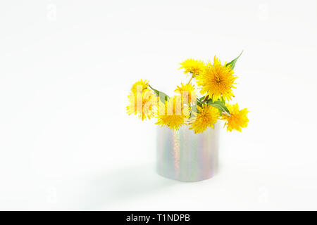 Yellow dandelion. Close up of dandelion flowers in holographic vase on white background, isolated. Spring, Easter concept. Stock Photo