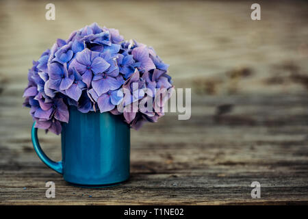 Still Life with Horstensia Flowers in blue tin cup Stock Photo