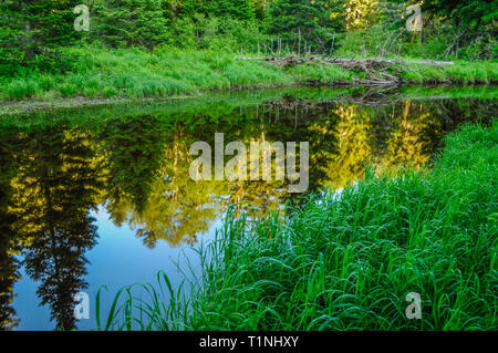 Reflections in the East Branch of the Sacandaga River in the Siamese Ponds Wilderness Area in the Adirondack Mountains Of New York State Stock Photo