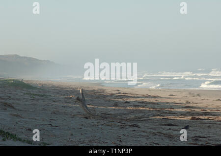 Surf Beach near Lompoc, central California coast. Digital photograph Stock Photo