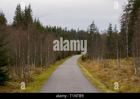 Road passing through a forest in Europe Stock Photo