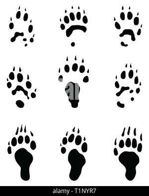 Black traces of polecat paws on a white background Stock Photo