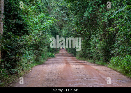 A dirt road crossing through thick jungle in southeast asia Stock Photo