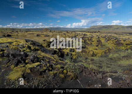 Very typical view of southern Iceland black rocky lava plains, covered by moss,lichens, bilberry and crowberry In the background can be seen the Highl Stock Photo